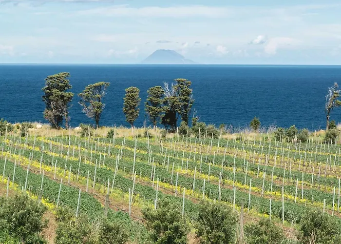 Tenuta Rasocolmo Messina